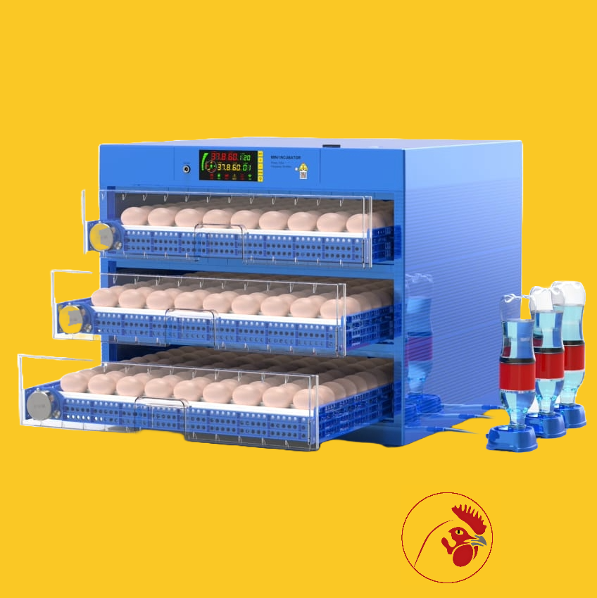 Automatic Eggs Incubator With Automatic Egg Turner And Smart